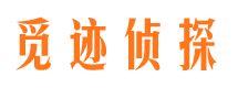 新青市私人侦探